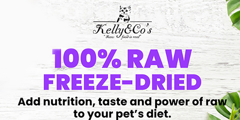Kelly & Co banner
